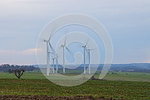 Wind turbines in a renewable energy wind farm early in the morning. In Schleswig Holstein Germany