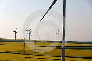 Wind turbines, renewable energy, yellow fields