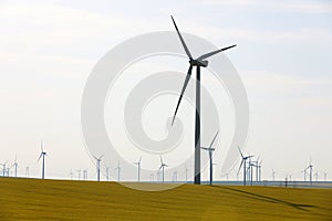 Wind turbines, renewable energy, yellow fields