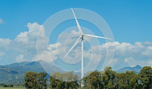 Wind turbines for renewable sources of electricity without pollution, south sardinia