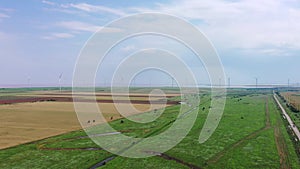 Wind turbines on the seashore. Agricultural fields and a country road can also be seen.