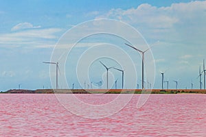 Wind turbines on a shore of pink salty Syvash lake in Kherson region, Ukraine. Renewable energy