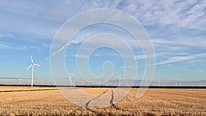 Wind turbines in summer agricultural field