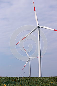 Wind turbines in the sunflower field