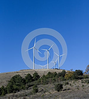 Wind turbines and sunny landscape photo