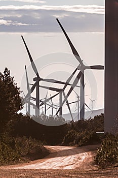 Wind Turbines at Sunrise 6