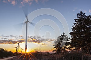 Wind Turbines at Sunrise 1 photo