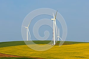 Wind turbines surrounded by crop fields