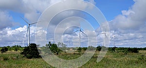 Wind turbines in Texas