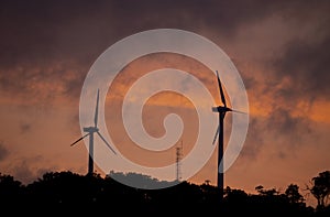 Wind turbines on Thursday Island