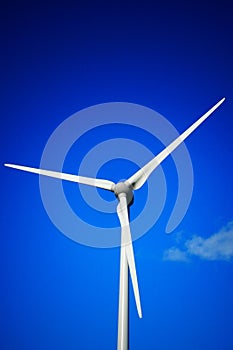 Wind turbines to produce clean electrical energy.