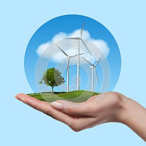 Wind turbines with tree in female hand