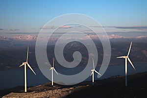 Wind turbines under the blue sky, great view