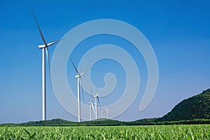 Wind turbines under the blue sky. Wind turbines generating elect