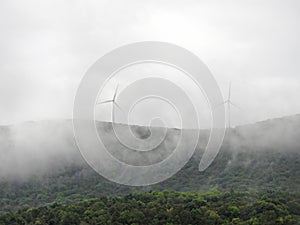 Wind turbines visible through the early morning mountain fog