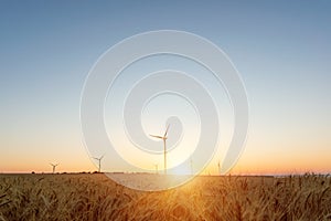 Wind turbines in a wheat field at sunset background. Green energy