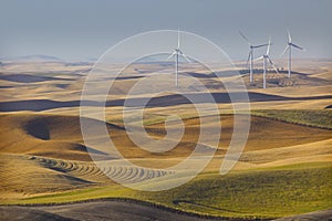Wind Turbines In Wheat Fields