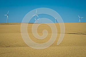 Wind turbines, wheat fields, Washington state