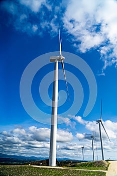 Wind turbines in a wind farm