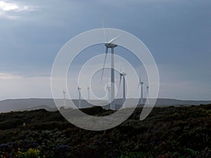 Wind turbines in a wind farm in australia