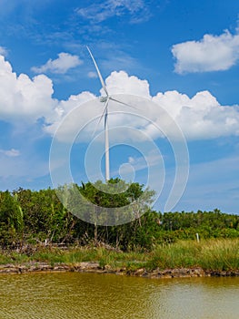 Wind turbines in a wind farm for green electricity generation