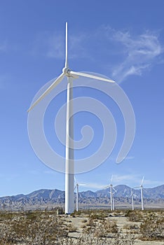 Wind Turbines in Wind Farm, Southwest USA photo