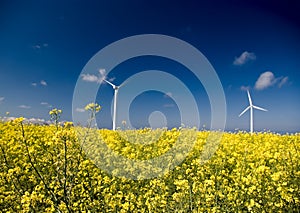Wind turbines, yellow field.