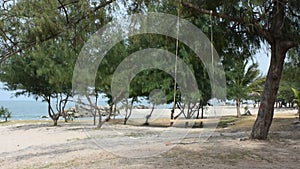 Wind and wave with wooden bench swings toy at morning time