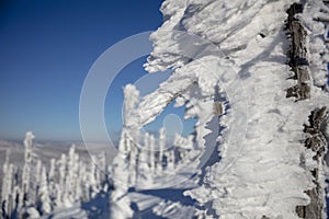 Wind and weather shaped abstract snow sculpture