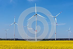 Wind wheels and a flowering canola field