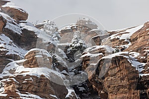 Wind whips snow into the air above rugged rocks and trees