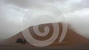 Wind whips up a sandstorm over the dunes