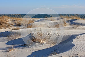 Windblown Dunes