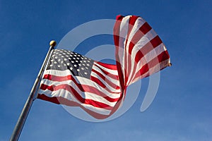 Windblown Flag