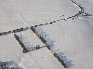 Windbreak forest or shelter belt in Nakashibetsu, Hokkaido, Japan