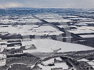 Windbreak forest or shelter belt in Nakashibetsu, Hokkaido, Japan