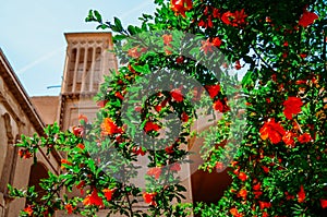 Windcatcher towers is a traditional Persian architectural element to create natural ventilation in buildings, old city Yazd Iran.