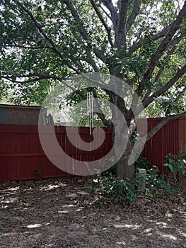 Windchimes in the backyard breeze
