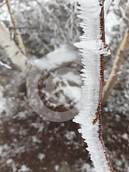 Winded Ice on a stick