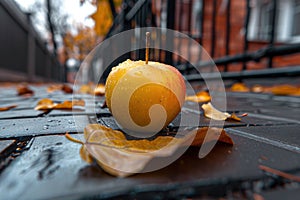 Windfall Apple: Fallen Fruit in the Garden