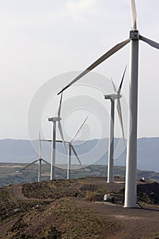 Windfarm