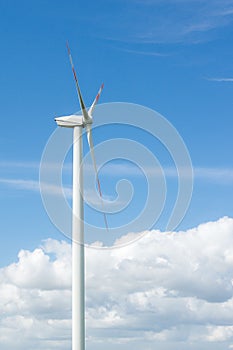 Windfarm