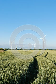 Windfarm