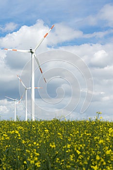 Windfarm