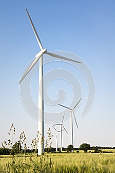 Windfarm