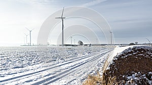 Windfarm