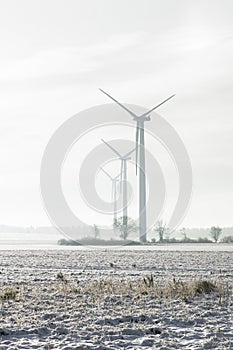 Windfarm