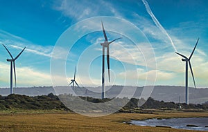 Windfarm At Avomouth, England