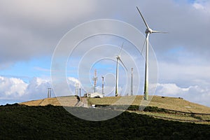 Windfarm in Azores. Green Energy