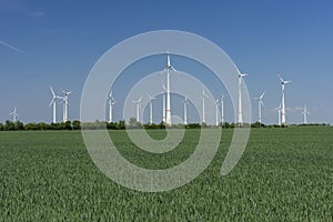 Windfarm with blue sky green energy